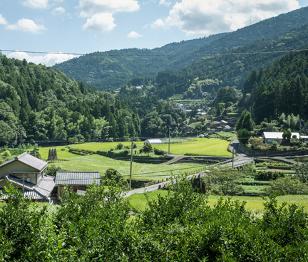 神山の風景